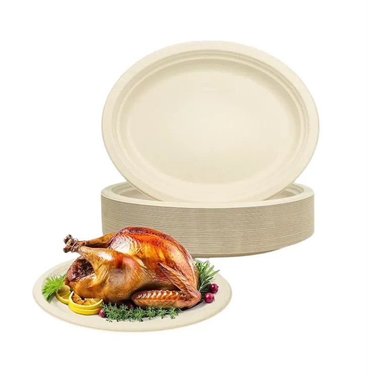 3 Biodegradable Sugarcane Plates for bbq