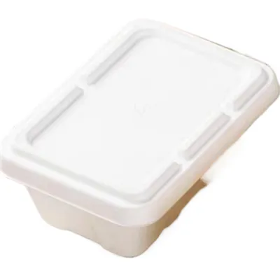 Bagasse lok fyrir 4-compt ílát