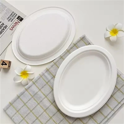 Bagasse sporöskjulaga plötur
